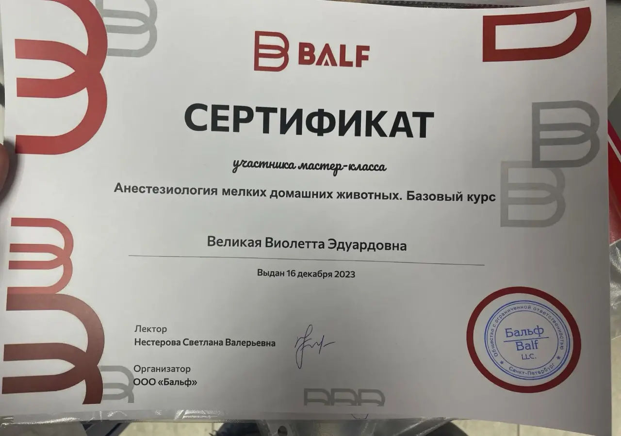 Сертификат