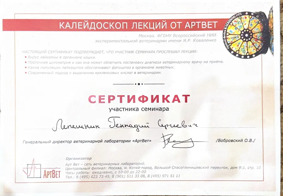 Сертификат