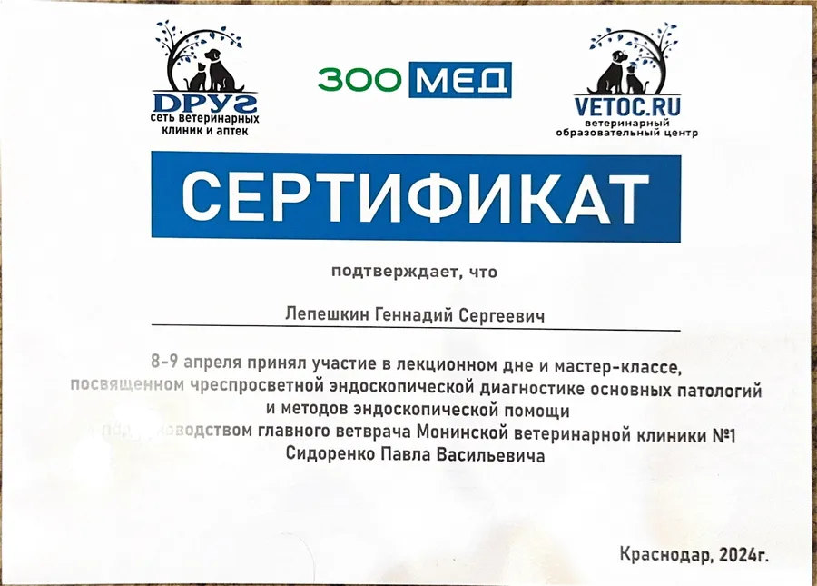 Сертификат