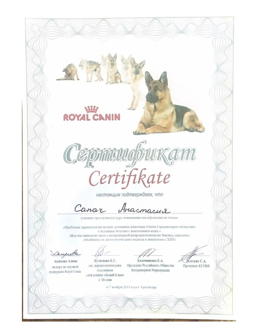 Сертификат